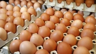 Ariana : Saisie de 67 mille œufs d’une valeur de 23 mille dinars