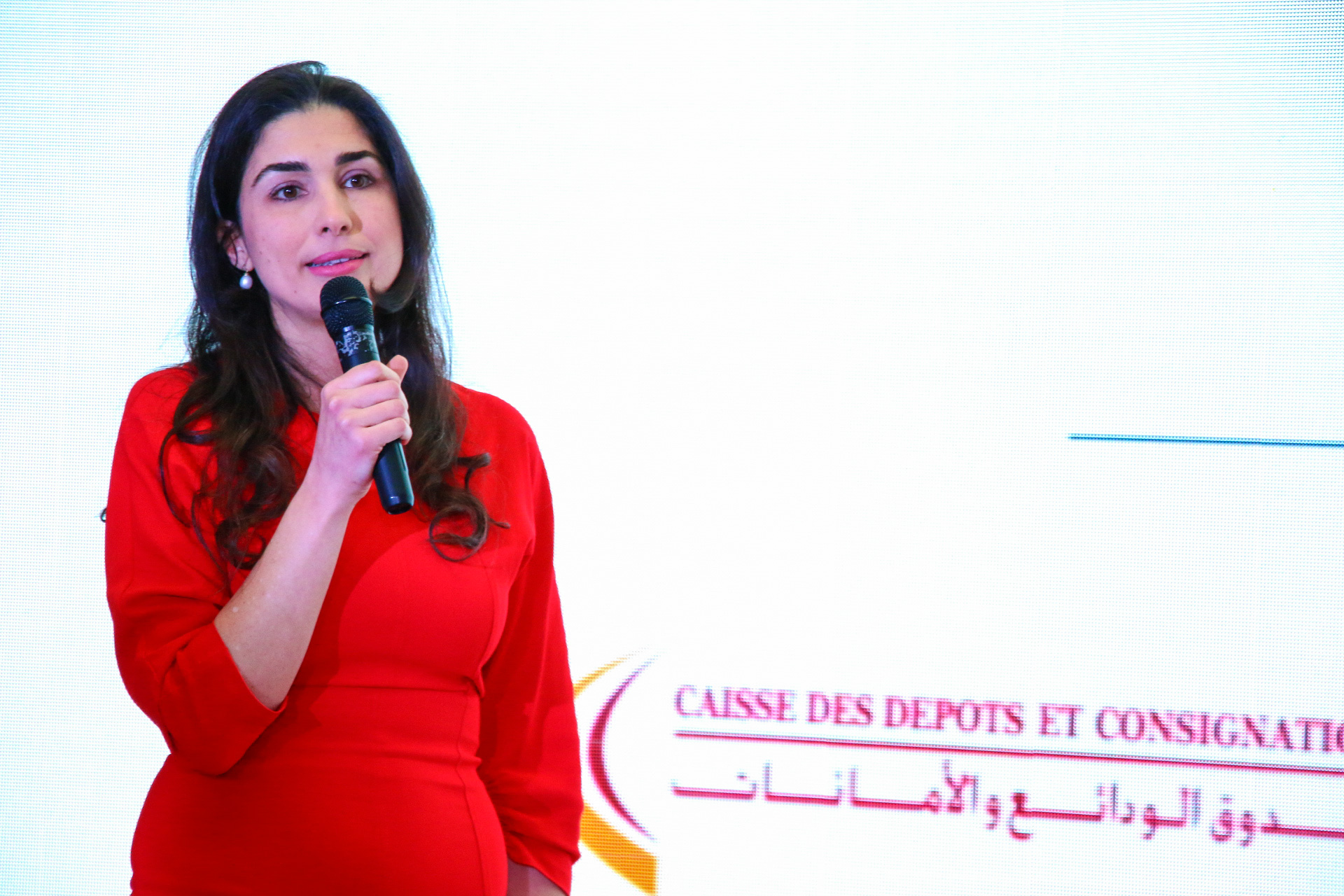 Tunisie Lancement Du Projet Startups Et Pme Innovantes Arabeque 