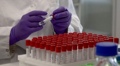 Tunisie : 25 décès et 8001 contaminations par le coronavirus 