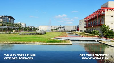 Whale Festival, le mouvement d’art et de culture revient les 7 et 8 mai à la Cité des Sciences de Tunis