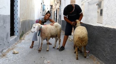 تونس : السبت 9 جويلية أول أيام عيد الأضحى