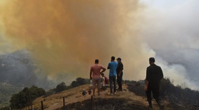 ارتفاع حصيلة ضحايا الحرائق إلى 37 وفاة و 161 اصابة في الجزائر 