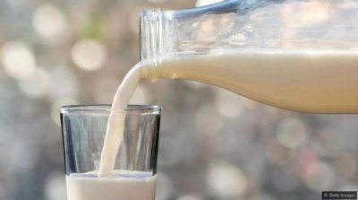 مصنعو الحليب يقرون زيادة أولية بـ200 مليم لفائدة مربي الأبقار والمنتجين
