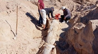 إكتشاف أثري جديد في مدينة صقانس بالمنستير (صور)