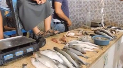 إيطاليا تخصّص 5 مليون أورو لتجديد سوق الحوت بحومة السوق بجربة