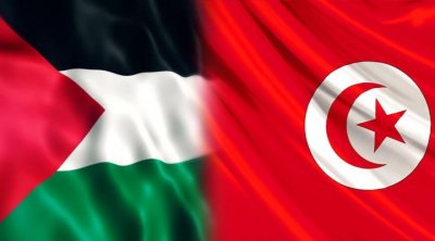 La Tunisie appelle à une protection internationale du peuple palestinien