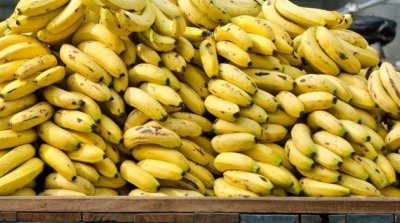 بداية من غدا : سعر بيع الموز للعموم بـ5 دينارات للكغ الواحد