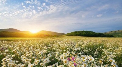 Météo : températures en hausse