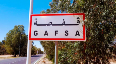 Gafsa : Un sanglier attaque trois agriculteurs