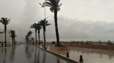 أنيس الخرباش: أمطار شهر ماي ستعود بالنفع على الفلاحين