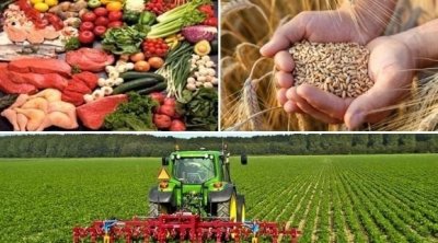 1.5 مليون تونسي مهدّد في أمنه الغذائي