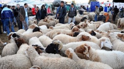 Tunisie : L'Aïd Al-Idha, mercredi 28 juin