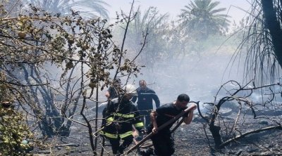 Gafsa : Un incendie ayant ravagé 3,5 hectares de l’oasis maîtrisé