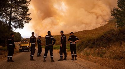 مقتل 15 شخصا بسبب حرائق الغابات في الجزائر 