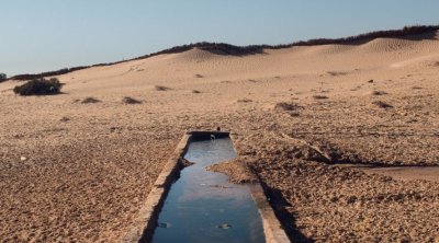 في ظل ارتفاع درجات الحرارة.. تكثيف عمليات مراقبة نقاط المياه بصحراء رجيم معتوق