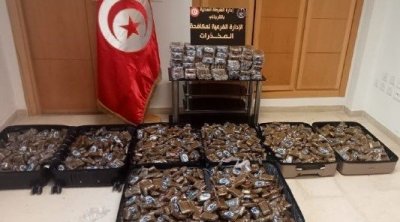 Tunisie : Démantèlement d'un réseau de trafic de drogue et saisie de 226 kg de cannabis