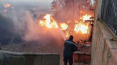 Jendouba : Trois incendies se déclarent simultanément dans des forêts