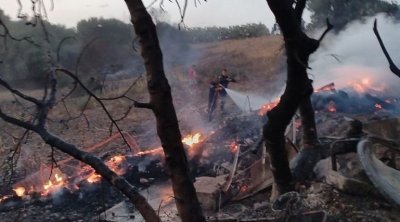 Les incendies de Bizerte, Béjà et Jendouba ont été maîtrisés