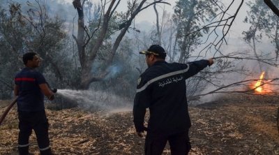 Ariana : Environ 16 ha de forêt ravagés par les flammes à Djebel Ennahli