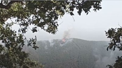 Jendouba : La forêt d’El Atatfa brûle toujours