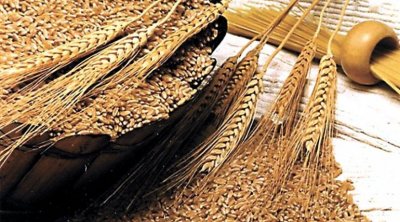 La Tunisie achète 150 000 tonnes de céréales