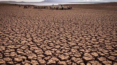 المطالبة بإصدار أمر حكومي يقضي بإعتبار الجفاف الحاصل على الزراعات الكبرى جائحة طبيعية