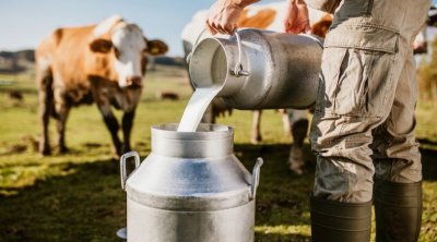 تونس : أزمة الحليب ستتواصل 3 أشهر في هذه الحالة