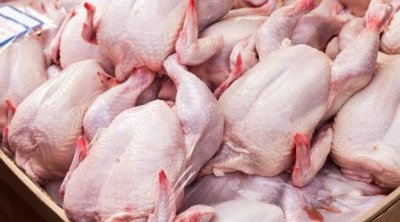 تراجع أسعار الدجاج والإسكالوب والبيض