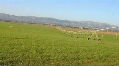 Jendouba : 32 Millions de Dinars de dettes impayées pour l’irrigation