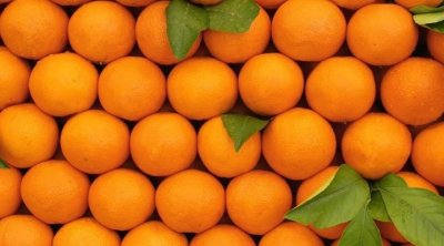 عائدات تونس من تصدير البرتقال المالطي وزيت الزيتون والتمور تناهز 2146 مليون دينار 