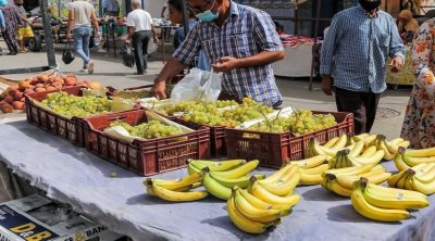 Tunisie : Les bananes à cinq dinars, à partir de ce jeudi