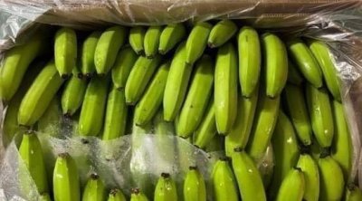 Tunisie : Arrivée des premières cargaisons de bananes importées