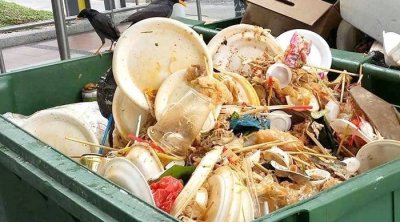 الأمم المتحدة : مليار وجبة تلقى في القمامة يوميا 