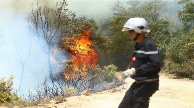 تونس : جلسة عمل للوقاية من حرائق الغابات والمزارع لصائفة 2024