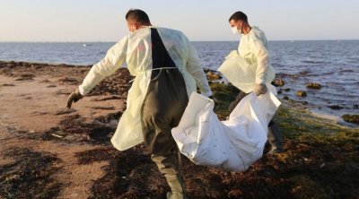 10 cadavres humains retrouvés sur différentes côtes de Mahdia