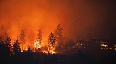 الحرائق تجتاح غابات كندا 