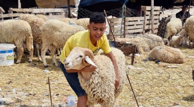 فلكيا : عيد الاضحى الأحد 16 ماي في تونس 