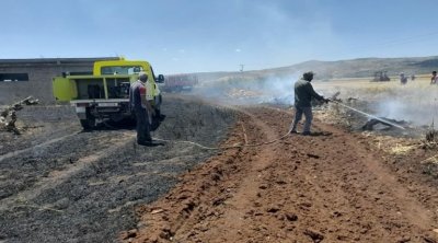Jendouba : 3 hectares de forêt ravagés par les flammes