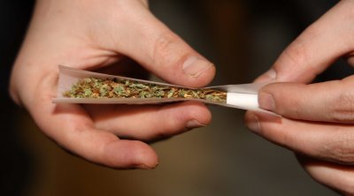 Port de Radès : Saisie de plus de cent kilos de cannabis