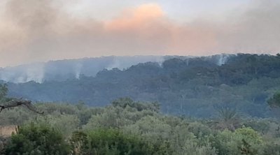 Jendouba : Incendie maîtrisé à Ghardimaou