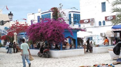 La municipalité de Djerba-Houmet Souk lance un programme d’énergie solaire