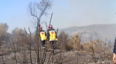 اندلاع حريق على الحدود الجزائرية التونسية (صور)