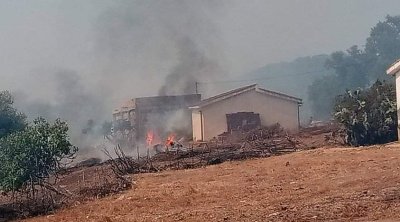 Incendie dans une forêt près de Ain Draham