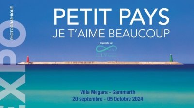 Tunisie : Exposition ''Petit pays, je t’aime beaucoup'' s’attèle jusqu’au 5 octobre 2024