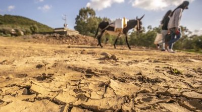 خبير يدعو الى إعلان حالة الطوارئ المائية في تونس 