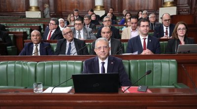 Tunisie : Le ministre de la santé annonce la maîtrise de la rage grâce à 800 000 vaccinations