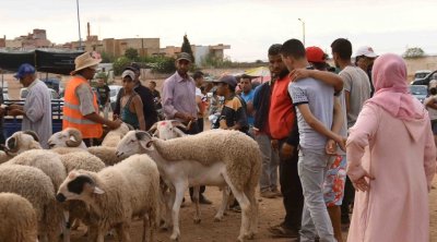 إلغاء شعيرة الأضحية : ديوان الإفتاء ينفي