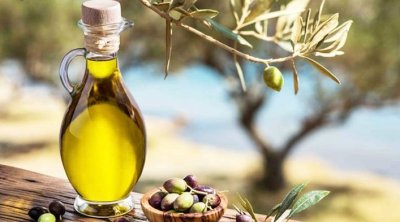 Baisse des recettes d’exportation de l’Huile d’olive 