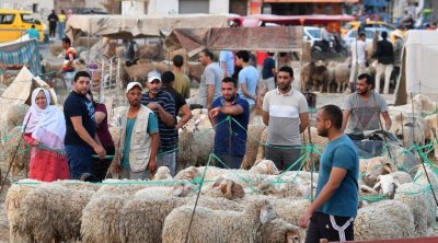 الاستعداد لعيد الأضحى: وزارة الفلاحة تُوصي بتلقيح الأضاحي وضمان شروط السلامة الصحية