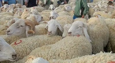Tunisie : Aïd al-Adha serait le vendredi 6 juin 2025
